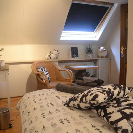 Thijssen * Vierlingsbeek