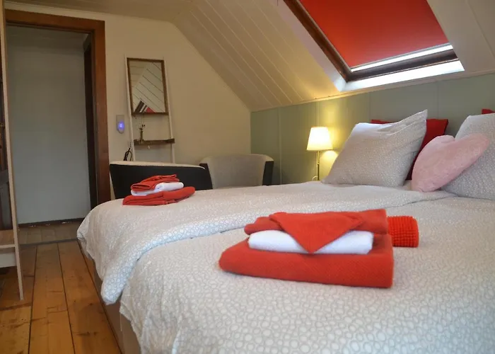 אורחן Thijssen *