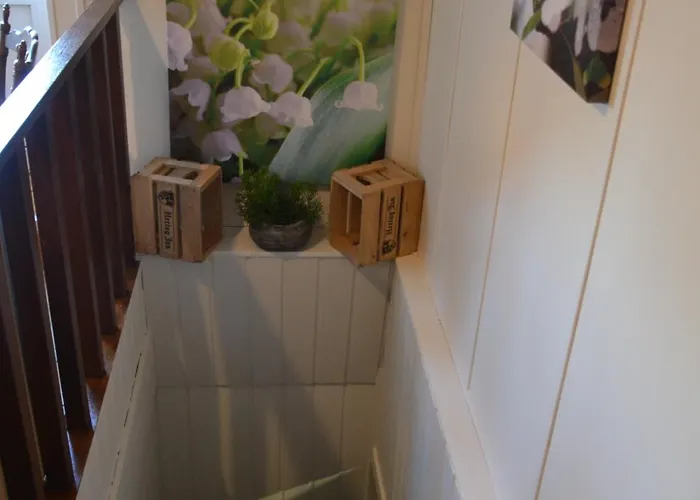 Thijssen אורחן *