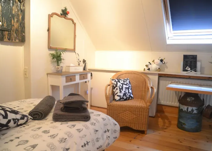 אורחן Thijssen Vierlingsbeek